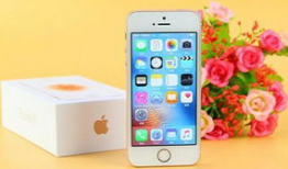 苹果袋怎么套视频教程,轻松掌握果实保护技巧